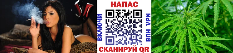 Конопля семена купить наркотик ОМГ ОМГ ссылки Малаховка
